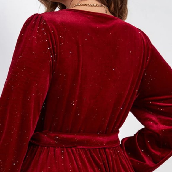 Melo Apparel Plus Size Surplice Neck Balloon Sleeve Tie Belt Midi Dress - Picture 7 of 8